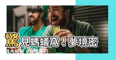 夢見螞蟻窩|夢見螞蟻窩